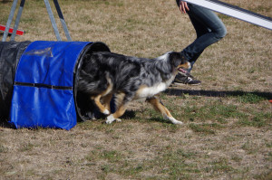 IMGP2412.JPG