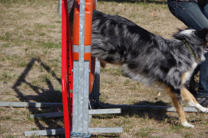 IMGP2414.JPG