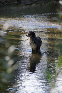 IMGP2453.JPG