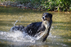 IMGP2461.JPG
