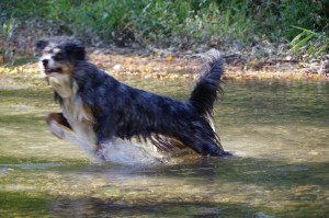 IMGP2466.JPG