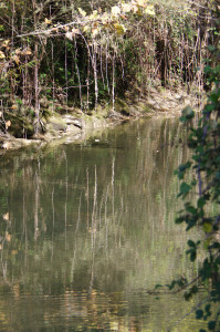IMGP2471.JPG
