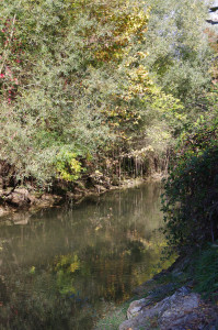 IMGP2472.JPG