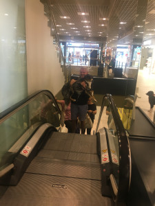 2018072021345181-IMG_6244.JPG