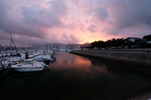 DSCF5101.JPG