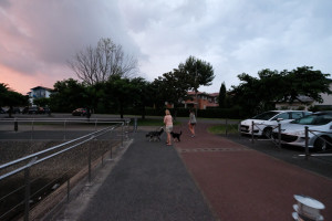 DSCF5103.JPG