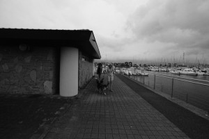 DSCF5106.JPG