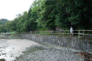 DSCF5111.JPG