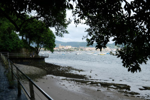 DSCF5112.JPG
