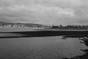 DSCF5113.JPG