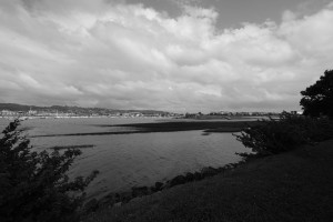 DSCF5114.JPG