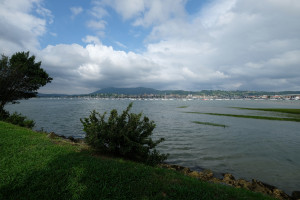 DSCF5115.JPG