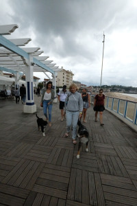 DSCF5124.JPG