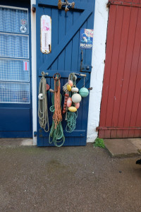 DSCF5169.JPG