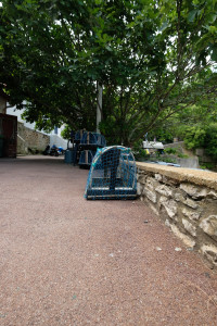 DSCF5170.JPG