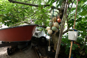 DSCF5171.JPG