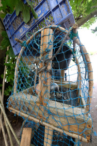 DSCF5172.JPG