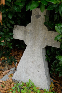 DSCF5200.JPG