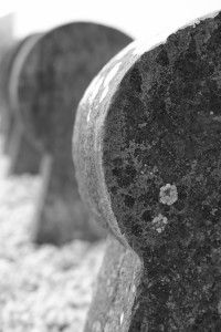 DSCF5204.JPG