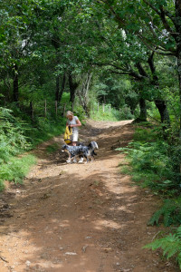 DSCF5213.JPG