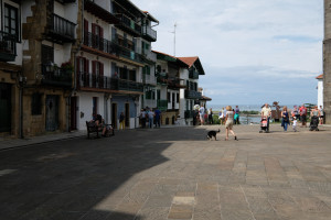 DSCF5228.JPG