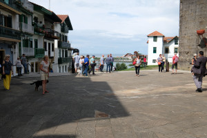 DSCF5229.JPG