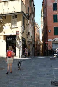 DSCF5277.JPG