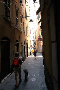 DSCF5281.JPG