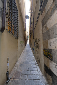 DSCF5293.JPG
