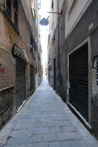 DSCF5294.JPG
