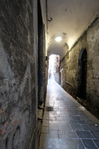 DSCF5295.JPG