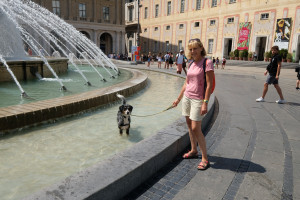 DSCF5315.JPG
