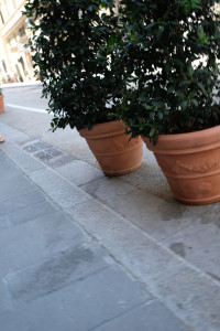 DSCF5318.JPG