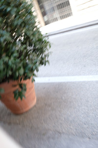DSCF5320.JPG