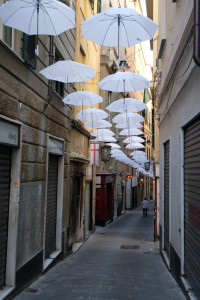 DSCF5321.JPG