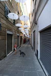 DSCF5322.JPG