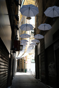 DSCF5323.JPG