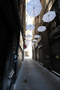 DSCF5324.JPG