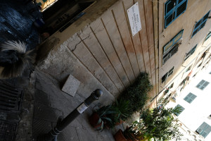 DSCF5329.JPG