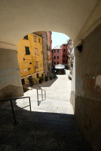 DSCF5330.JPG