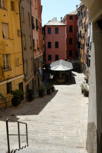 DSCF5331.JPG