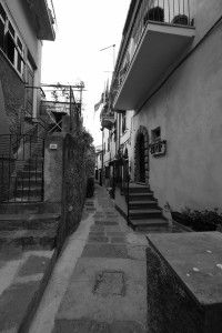 DSCF5366.JPG