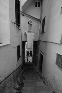 DSCF5367.JPG