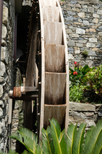 DSCF5378.JPG