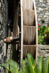 DSCF5379.JPG
