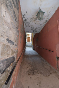 DSCF5383.JPG