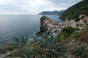 DSCF5388.JPG