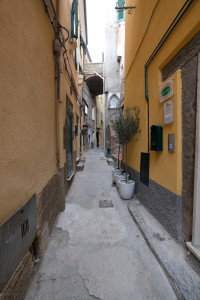 DSCF5392.JPG