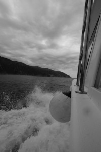 DSCF5397.JPG