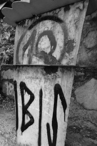 DSCF5411.JPG